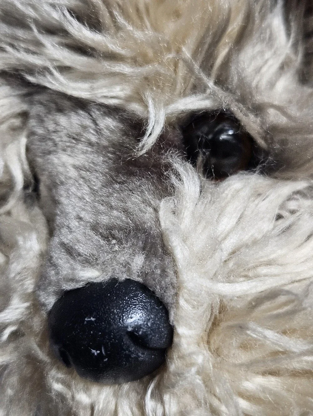 Douglas Shaggy Plush Terrier Dog Stuffed Animal Gray & Tan Realistic 2017
